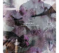 Indigo Mist That the Days Go By and Never Come Again (Vinyl LP) 12" Album