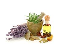 Indigofera Rang Foglie Polvere 100 Gr