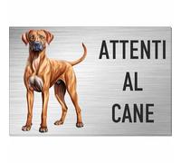 INDIGOS UG - Targa personalizzata Attenti al Cane con immagine Rhodesian Ridgeback - 30x20 cm - aspetto acciaio inossidabile 3 mm - cartello cane da esterno resistente per cancello porta casa giardino