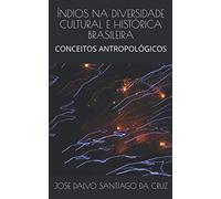 ÍNDIOS NA DIVERSIDADE CULTURAL E HISTÓRICA BRASILEIRA: CONCEITOS ANTROPOLÓGICOS