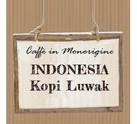 INDONESIA KOPI LUWAK WILD GAYO Caffè in monorigine - 250 g
