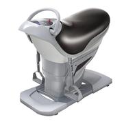 Indoor Horse Riding Machine, 20 Speed Electric Horse Riding Simulator, Improve Balance & Burn Fat Quickly, with Bluetooth Function, Home Gym Exercise, Horse Riding Fitness Machine(Gray)