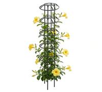 Indoor Plant Trellis, Heavy Duty Metal Support, Rustproof Obelisk Frame for Climbing Plants, Garden Vine Support for Clematis Jasmine Flowers Fruits Vegetable, Indoor Outdoor Plant Holder