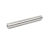 Industria Alimentare Ad Alta Prestazione Qualità In Acciaio Inossidabile Magnete A Bordo Per Lavorazione, Filtraggio, Prevenzione Della Contaminazione - 25mm Dia x 200mm Di Lunghezza - 12.000 Gauss