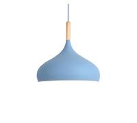 Industrial Chandelier Elegant Lampshade Black Pendant Light(Blue,30CM)