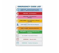 Industrial Color Code Chart Emergency Response Guide Wall Art for Control Room Office Decor(Framed,08x12inch(20x30cm))