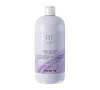 Inebrya Greylosophy Grey By Day Shampoo Riflessante Delicato 1Lt