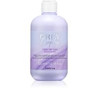 Inebrya Greylosophy Grey By Day Shampoo shampoo colorato per capelli grigi 300 ml