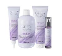 INEBRYA Kit Greylosophy Grey Pre Sh 150ml + Sh 300ml + Mask 250ml + Oil 50ml