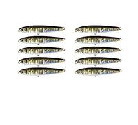 INEOUT 10 PCS Affrontare Matita Affondamento 13g 16g 24g Minnow Esche da Pesca Esca Dura Luce di Vibrazione di Alta qualità Acqua Dolce Acqua di Mare(10 PCS H 2 Hook,24g)