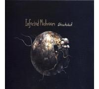 Infected Mushroom - Stretched