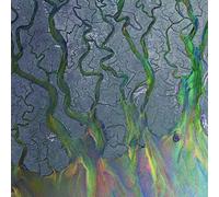 alt-J An Awesome Wave (Vinyl LP) 10th Anniversary 12" Album Coloured Vinyl