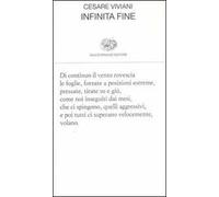 Infinita fine