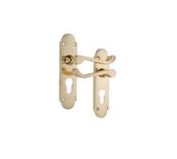 Infinity Decor Maniglia per porta in ottone lucido stile vintage vittoriano con profilo europeo su piastra posteriore sagomata, set di tiri per porta di passaggio - Adatto per porte interne ed esterne