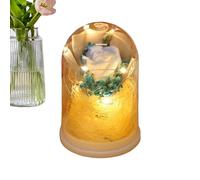 Infinity Rose Conservate - Regalo di fioritura, Bouquet di Rose conservate con Luce a LED, a Forma di Cupola in con Design Elegante, Decorazione Floreale Roma