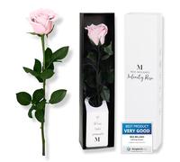 Infinity Rose rosa sul manico (durata 3 anni), vera rosa in elegante confezione regalo, regalo per lei, fiore conservato con profumo di rosa, con biglietto regalo incluso