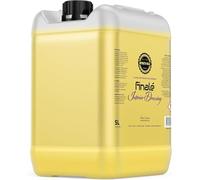 Infinity Wax Finale Interior Dressing 5L - Spray Antistatico per Finiture Interne per plastica e Finiture - Finitura Opaca, Profumo Fresco di agrumi a Base d'Acqua, Senza Oli né lucentezza