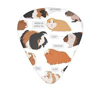 Infografica per tipi di razze di roditori Il plettro per chitarra, per chitarre acustiche, elettriche, basso - tocco naturale, confezione da 12, multicolore.