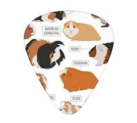 Infografica per tipi di razze di roditori, plettri per basso elettrico di alta qualità, per un'esperienza musicale senza precedenti