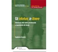 Infortuni In Itinere (Gli)
