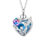 InfuMemo Colibrì cristallo cuore cremazione gioielli per ceneri ciondolo urna collana con mini urna ricordo urna commemorativa ceneri gioielli della persona amata, Acciaio inossidabile