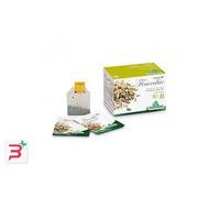 INFUSO FINOCCHIO BIO 20 FILTRI