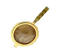 Infusore per tè a maglia fine - Diffusore a foglie sfuse, accessorio per palline da tè | Stick per la rimozione della polvere di zucchero da forno per bevande, caffè, succhi di frutta, farina, utensil