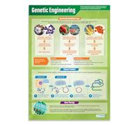 Ingegneria genetica | Poster scientifici | Carta lucida misura 850 mm x 594 mm (A1) | Schede scientifiche per la classe | Schede didattiche di Daydream Education