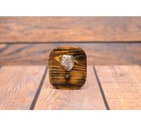 Inglese Bulldog 3-Holz Grucce Vestiti Con Dem Immagine di Un Cane Artdog De Typ2