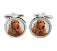 Inglese Cocker Spaniel Gemelli IN Cromo Scatola