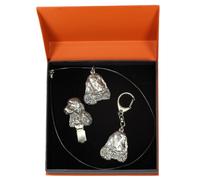 Inglese Cocker Spaniel - Set Tipo 2 - Il Cane IN Der Arance Scatola Art Dog