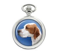 Inglese Puntatore Orologio da Tasca