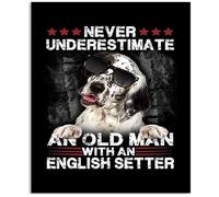 Inglese Setter Never Underestimate An Old Man cartello in metallo resistente alle intemperie decorazione da parete regalo di inaugurazione della casa decorazione da parete poster in metallo 20 x 30 cm
