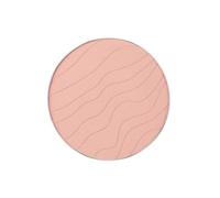 INGLOT SOGGIORNO IDRATO IN POLVERE PRESSATA P (208)