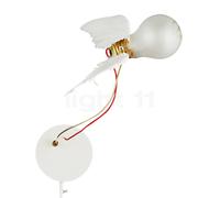 Ingo Maurer Lucellino, con trasformatore - con Dimmer - con spina