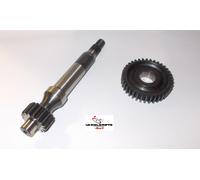INGRANAGGI ALLUNGATI ZIP FAST RIDER - QUARTZ Z 16 37