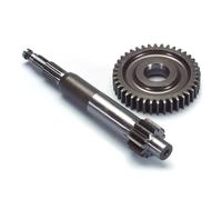 Ingranaggi Primari 13/40 Polini, Piaggio NRG dopo il '98