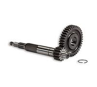 INGRANAGGI PRIMARI 14/39 DENTI CON CALETTAMENTO FORZATO DIAMETRO 17 NRG-SR 50