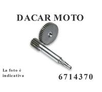 INGRANAGGI PRIMARI MALOSSI 6714370