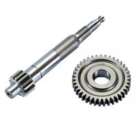 Ingranaggi Primari Polini 14/39 Piaggio Diesis / Zip SP LC dal 2000