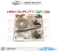 INGRANAGGI PRIMARI RAPPORTI LUNGHI RINFORZATI VARIATORE PIAGGIO CIAO 50