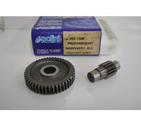 Ingranaggi rapporti allungati Z14 -Z48 POLINI Gear set Piaggio Free 50 Gilera