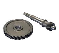 INGRANAGGI RAPPORTI PRIMARI POLINI Z 15/49 PIAGGIO BEVERLY 300 ie HPE E5 2021