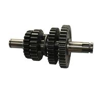 Ingranaggi secondari d.17mm Pit Bike motore YX 125cc