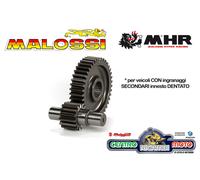 Ingranaggi secondari Malossi HTQ z 15 41 dentato 17 PIAGGIO SKIPPER LX 125 2T