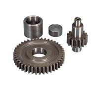 Ingranaggi Secondari Polini z 15-42 202.1346