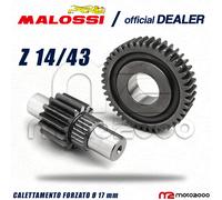 INGRANAGGI SECONDARI MALOSSI Z 14 / 43 GILERA RUNNER FXR - SP 180 2T LC
