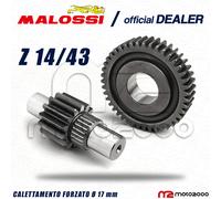 INGRANAGGI SECONDARI RAPPORTI ALLUNGATI MALOSSI Z 14/43 PER PIAGGIO HEXAGON LXT