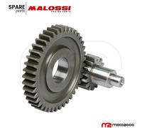 INGRANAGGI SECONDARI RAPPORTI z 14/43 BENELLI 491 SPORT 50 2T