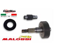 INGRANAGGI SECONDARI Z 13/48 PARASTRAPPI SCOOTER MOTORE PIAGGIO 679940